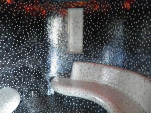 P6150763-300x225 ŁAŹNIE PAROWE